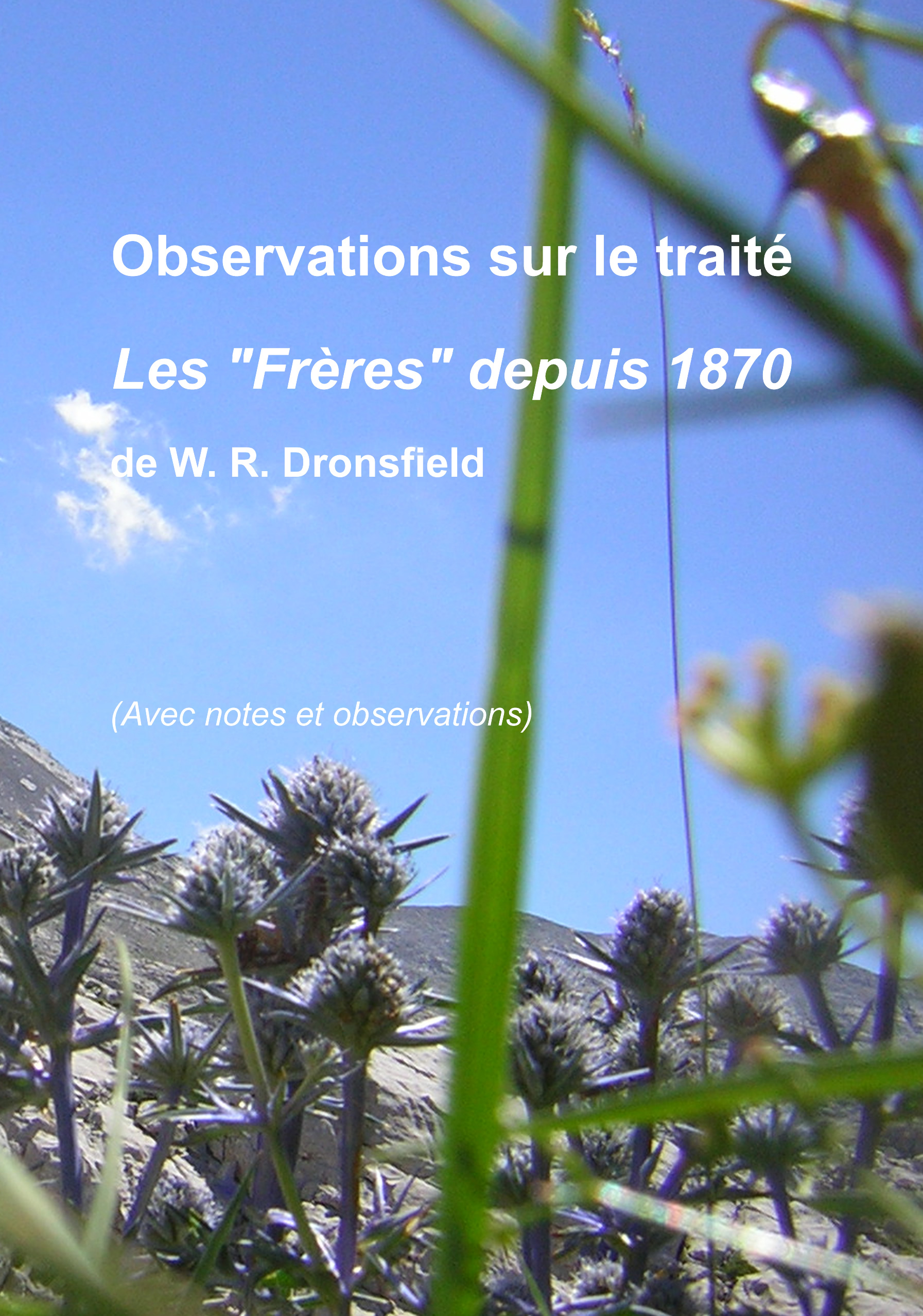 Observations sur le traité Les "Frères" depuis 1870