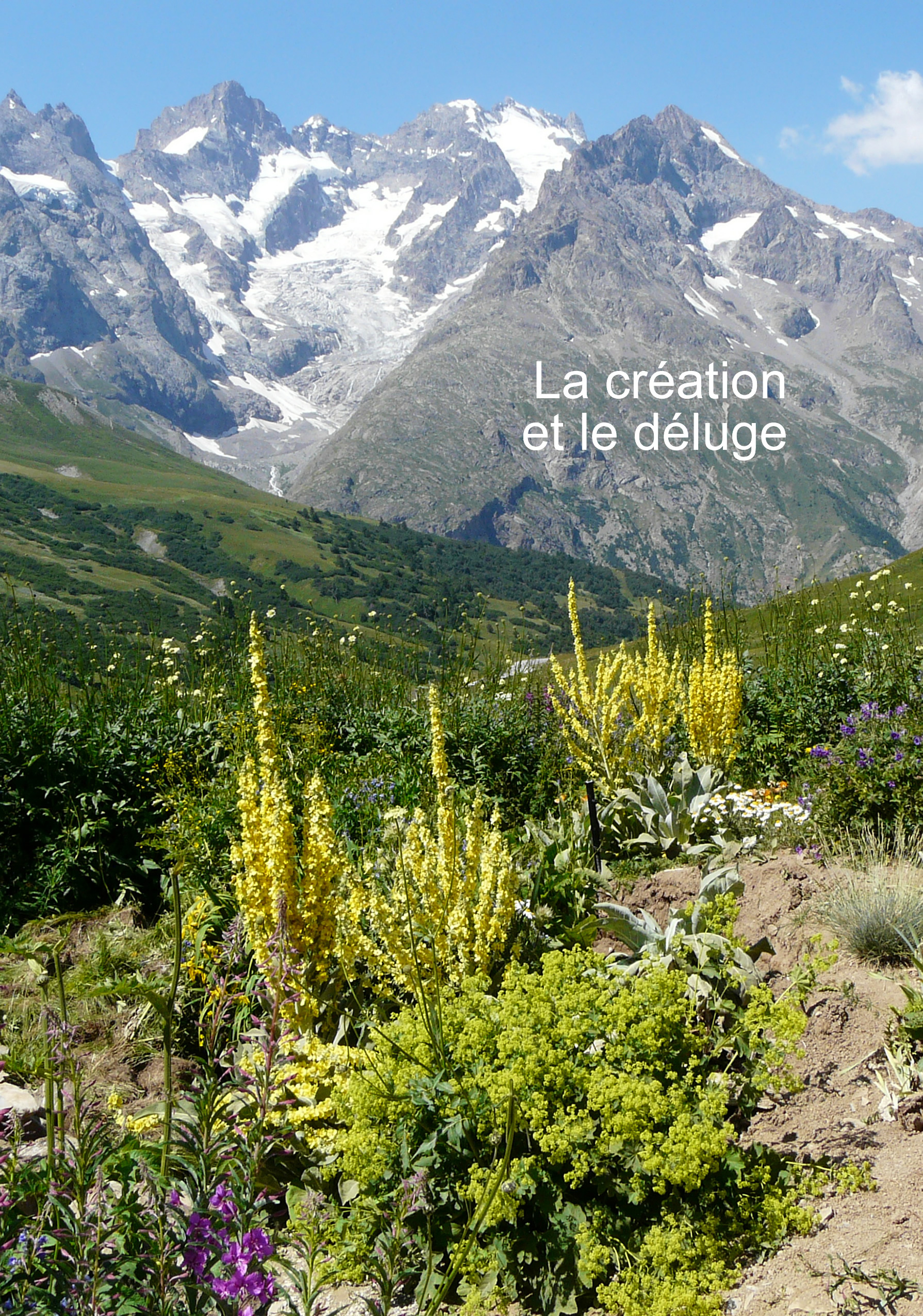 La création et le déluge