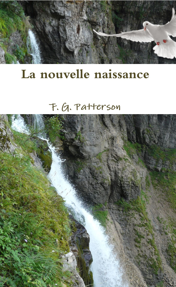 La nouvelle naissance