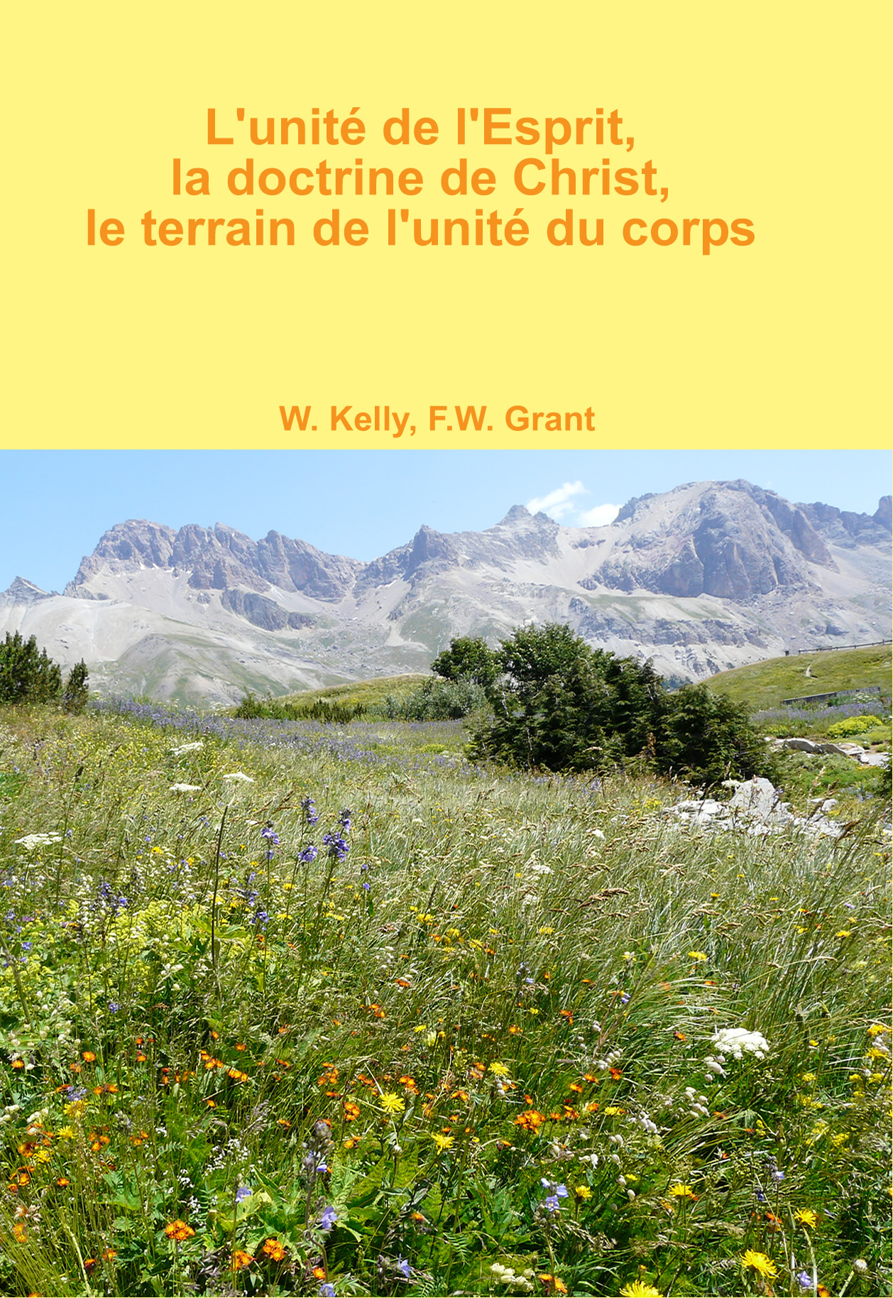 L'unité de l'Esprit, la doctrine de Christ et le terrain de l'unité du corps