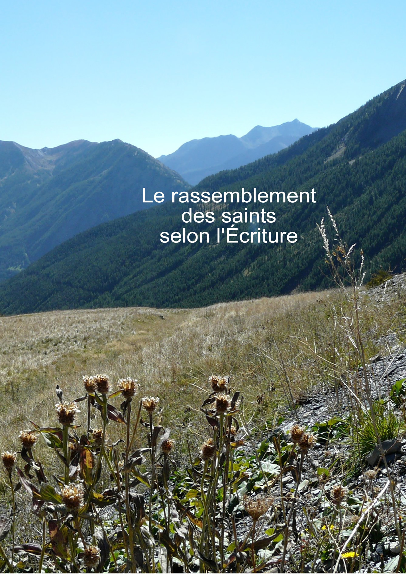 Le rassemblement des saints selon l'Écriture